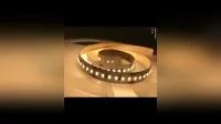 Китайская фабрика 3014 204LEDs 24В светодиодная лента.